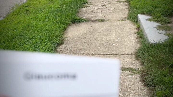 ضعف البصر لا يعني العمى