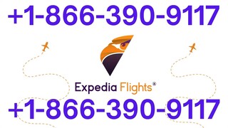 7 Ways to Contact {Expedia Customer Service} (Phone, Chat, Email Guide)