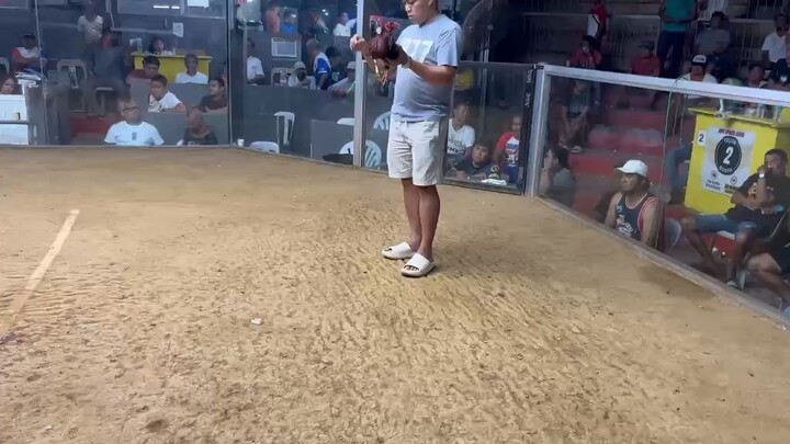 2 Stag elimination 2nd fight win @igpit sports Arena, 5 Stag national derby