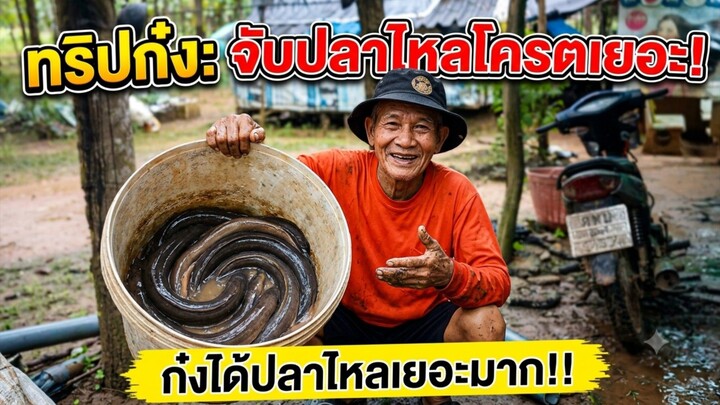 ก๋งได้ปลาไหลโคตรเยอะ
