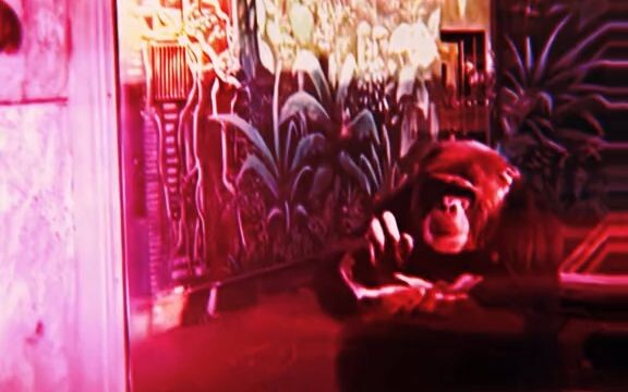 Khi vai trò được hoán đổi – Tặng bạn tràng vỗ tay!