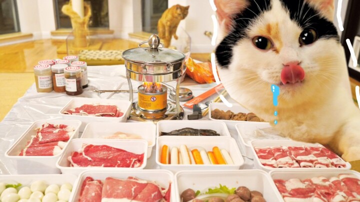 อยู่บ้านกินชาบู น้องแมวตัวนี้กินเก่งมาก หรือเรา…?