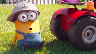 Mower Minions (2016)