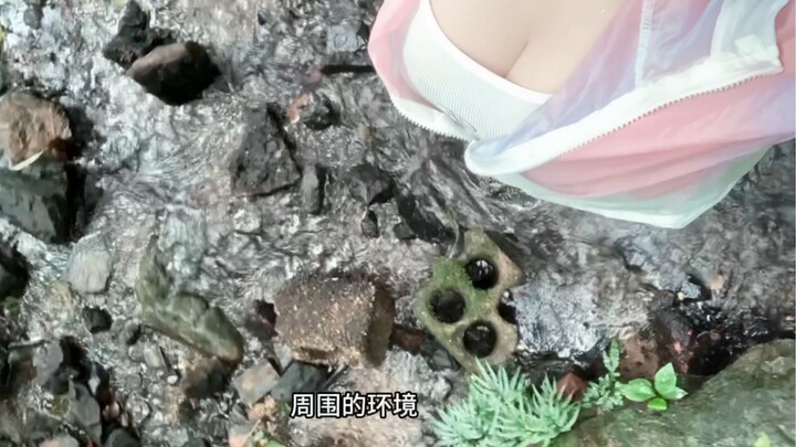 【วิดีโอบล็อกชีวิต】ภูเขาเย่าลู่เล็กๆ!