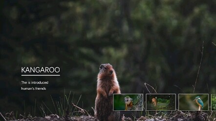 Trang PPT này được lãnh đạo khen ngợi