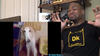 Try Not to Laugh - If You Laugh 6.9 Times, You Lose Pt. 2 - Reaction!