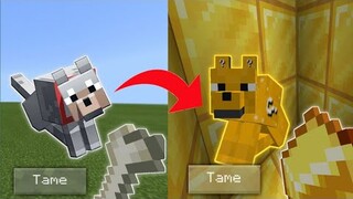 How to turn your minecraft dog into a lucky dog in minecraft