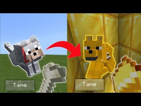 How to turn your minecraft dog into a lucky dog in minecraft