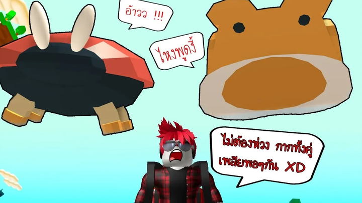 Roblox Feed your pets! 14 อัพเดทใหม่สัตว์สองตัว กากๆพอกัน - -