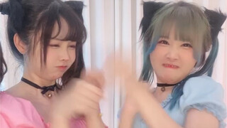 猫 咪 互 殴