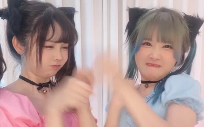 แมวตีกัน