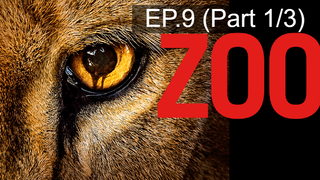 🔥ดูซีรี่ย์🔥Zoo Season 1 สัตว์สยองโลก พากย์ไทย EP9_1