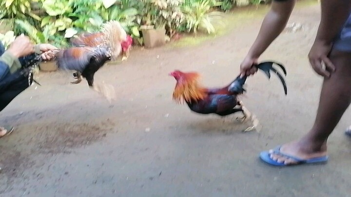 Kulang pas sa lakas👌