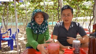 DU LỊCH NINH THUẬN _ Khám phá Cung Đường Ven Biển DT702 đến Vịnh Vĩnh Hy 30