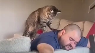 How can there be such a sensible kitten?