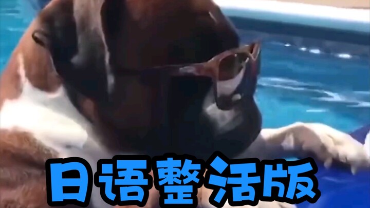 "I'm Totally a Rapper" - Japanese Funny Version