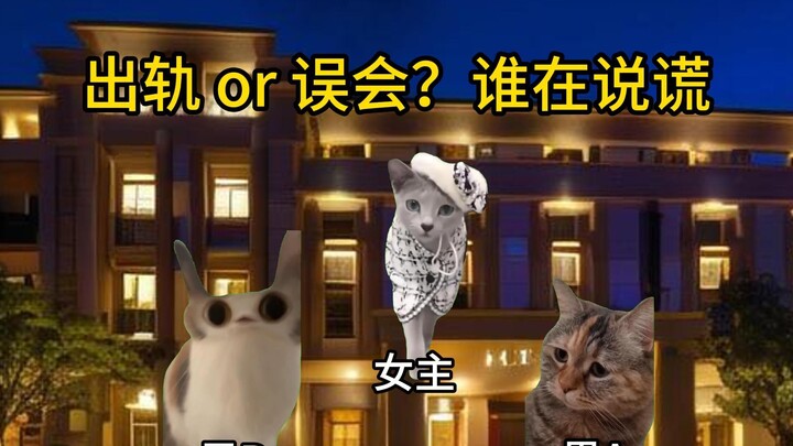 【猫meme】跟momo去办案：出轨还是误会？谁在说谎