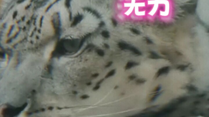 Bukan karena terlalu suka cowok muda berusia 18 tahun, cuma pengin panjang umur aja.