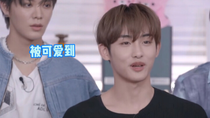 【يو يوان】هذه المقطوعة تستحق الاستماع المتكرر والتمعّن! التحفة الشهيرة للسيد ناكاموتو: “حجر وانغ يوان