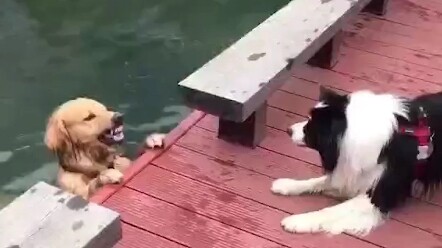 Đúng là thích xem náo nhiệt mà chẳng ngại chuyện lớn.