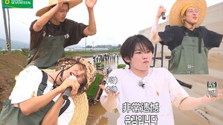 【SEVENTEEN】96 العادي مقابل 96 الحساس