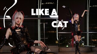 【w rhythm synesthesia cos】Catwalk بهدوء عيد ميلاد العمل ~ هل هذه الضربة لامسة قلب الطبيب؟