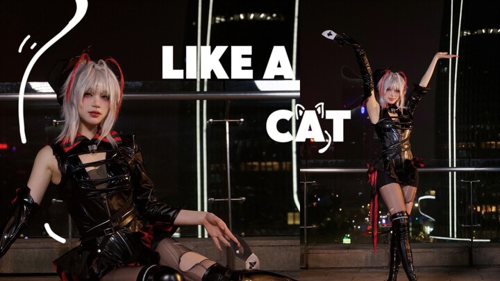 【w rhythm synesthesia cos】Pekerjaan ulang tahun di catwalk dengan tenang~ Apakah ketukan ini menyent