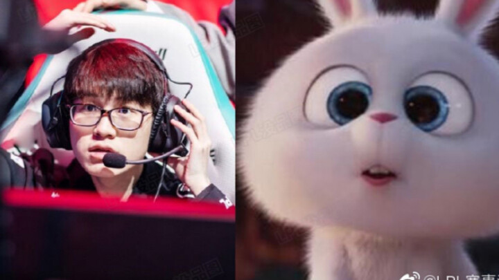 [Meiko] Sweet Snowball | Snowball Field | snowball Snowball Rabbit Field Version