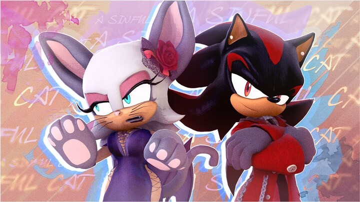 〖索尼克 动画〗罪孽猫 || Deluding Moonlight AU April Fools | Diakitty