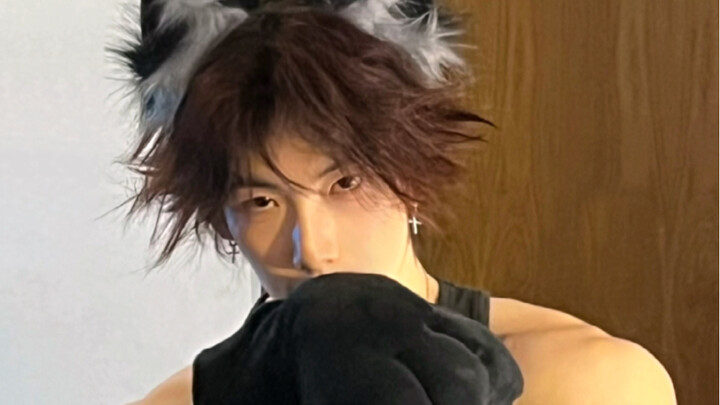 “Thích động vật nhỏ là lời nói dối của bà”