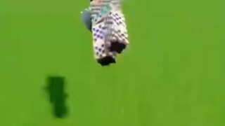 ماينكرافت: من هو بطل التحمل الحقيقي للسقوط؟