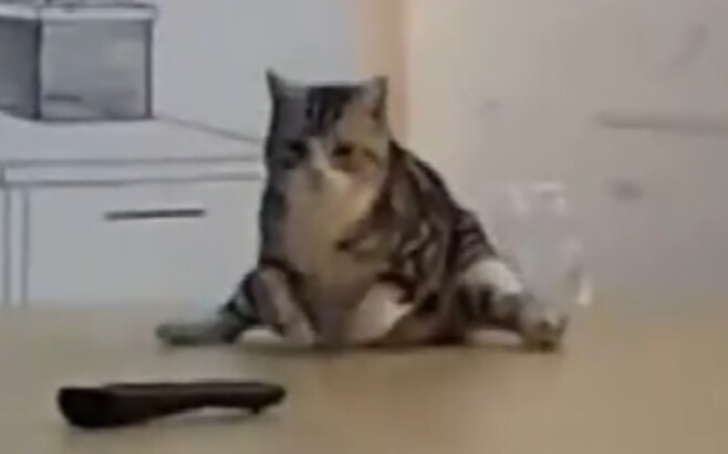 Obesity leads to embarrassment