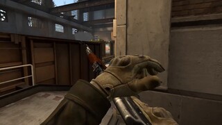 【CSGO】To be honest, I'm greedy for your gun#034