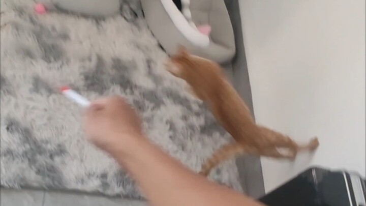 A Peaceful Everyday Life