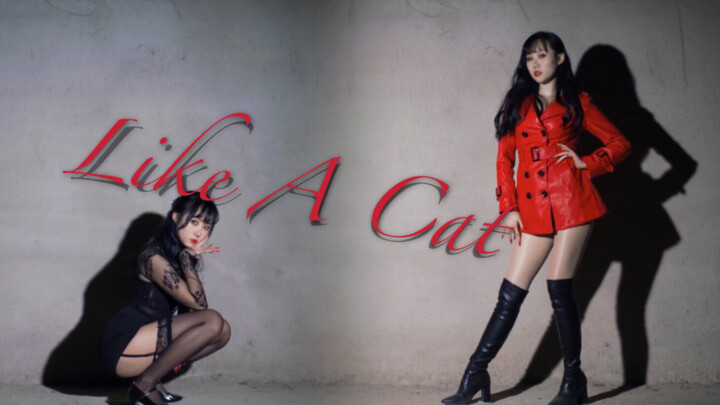 [Liliko] AOA’s cat-like steps softly lead to you~