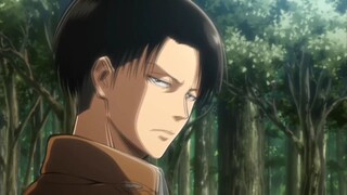 Edit Levi