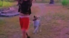 Afternoon walk with Kuya Van-Van and Casper🐕🦺🐕🦺...(ins' Van jr & Thea)