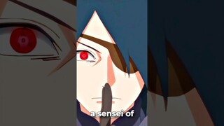 Sasuke's TWO Students BEFORE Boruto Was Born!