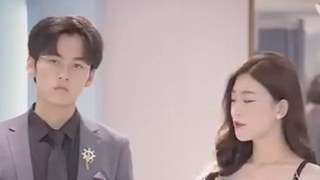 ฉันนี่แหละประธานบริษัท ฟางชูหลาน