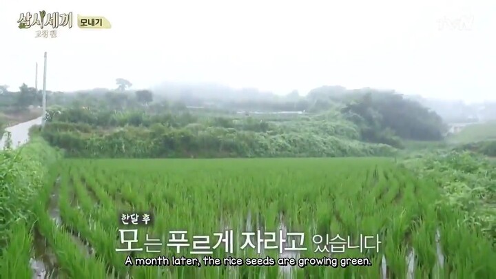 Three Meals a Day 𝕲𝖔𝖈𝖍𝖆𝖓𝖌 𝓥𝖎𝖑𝖑𝖆𝖌𝖊 E2