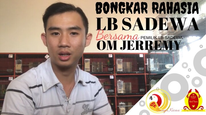 Bongkar Rahasia LB Gacor Sadewa Bareng Om Jerremy