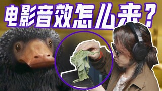 芹菜、马桶搋？电影的音效都是这么录的？《神奇动物》音效复刻挑战！