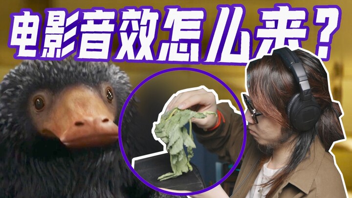 芹菜、马桶搋？电影的音效都是这么录的？《神奇动物》音效复刻挑战！