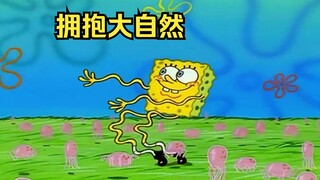 海绵宝宝厌倦了枯燥的生活，辞去工作选择拥抱大自然