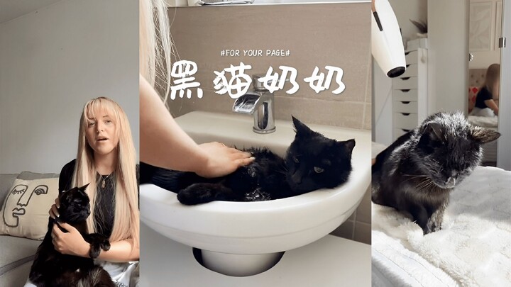 Tắm cho bà lão mèo đen 22 tuổi 🖤🛀