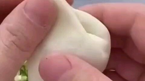 defferent kind of dampling