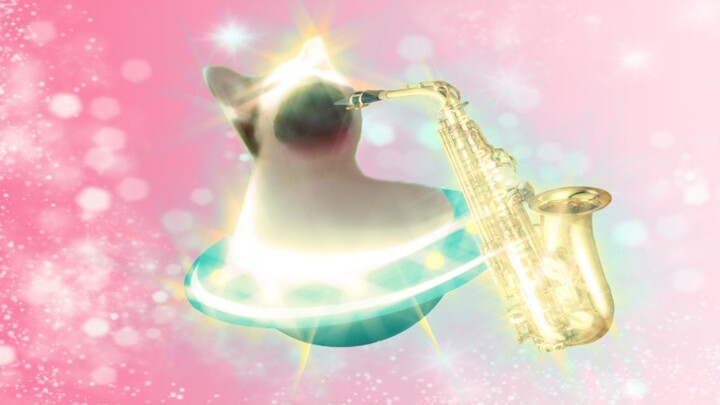 [MAD]Mèo biểu diễn saxophone|Engelwood-<immaculate taste>