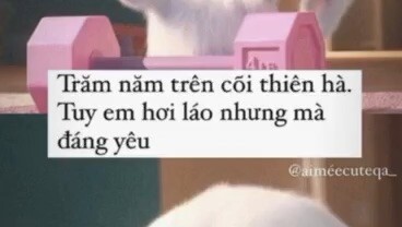 Luôn bảo vệ em