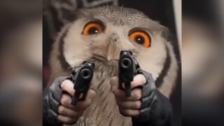 【每天一遍，噩梦不见】“就™人类有手啊？”