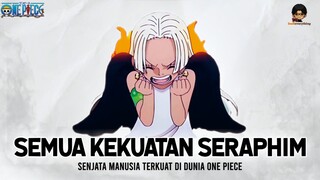 Semua Kekuatan Buah Iblis Para Seraphim di Dunia One Piece